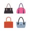 Collection of Women Bags Accessories for Females