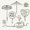 Collection womens old fans and umbrellas. Vector illustration sketch on paper background