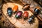 a collection of wood-boring beetles near damaged log