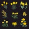 Collection of yellow flowers on a black background