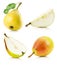 Collection of yellow pears isolated on the white background