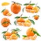 Collections of Tangerines