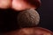 Collector investigates old Grand Duchy of Lithuania coin  half-grosz