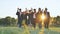 College alumni friends pose in the evening meadow.