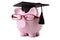 College graduate Piggy Bank student graduation