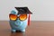 College graduate student diploma piggy bank.