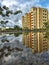 College photos showing reflection in water