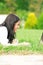 College student with laptop on the grass