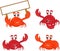 Colletion Crabs cartoon