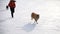 Collie dog and black labrador running with girl