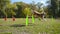 Collie dog jumping at barrier on agility training