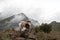 Collie dog in the misty Drakensberg mountains.