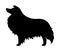 Collie dog. Vector black silhouette.