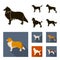 Collie, labrador, boxer, poodle. Dog breeds set collection icons in black, flat style vector symbol stock illustration