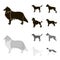 Collie, labrador, boxer, poodle. Dog breeds set collection icons in black,monochrom style vector symbol stock