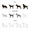 Collie, labrador, boxer, poodle. Dog breeds set collection icons in black,monochrome,outline style vector symbol stock