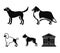 Collie, labrador, boxer, poodle. Dog breeds set collection icons in black style vector symbol stock illustration web.