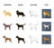 Collie, labrador, boxer, poodle. Dog breeds set collection icons in cartoon,black,outline,flat style vector symbol stock