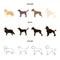 Collie, labrador, boxer, poodle. Dog breeds set collection icons in cartoon,black,outline style vector symbol stock
