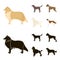 Collie, labrador, boxer, poodle. Dog breeds set collection icons in cartoon,black style vector symbol stock illustration