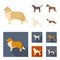 Collie, labrador, boxer, poodle. Dog breeds set collection icons in cartoon,flat style vector symbol stock illustration