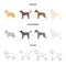 Collie, labrador, boxer, poodle. Dog breeds set collection icons in cartoon,outline,monochrome style vector symbol stock
