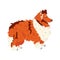 Collie long haired breed dog flat vector illustration