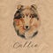 Collie. Portrait dog. Watercolor hand drawn illustration.