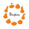Coloful pumpkins set vector illustration