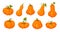 Coloful Pumpkins Set Vector Illustration