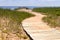 Cological hiking trail in the national park through sand dunes, beach, sedge thickets and plants, wooden path through protected