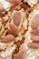 Colomba, italian Easter cake icing with almonds macro