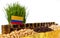 Colombia flag waving with stack of money coins and piles of wheat