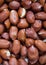 Colombian brown almonds focused with good quality