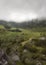 Colombian green countryside with andean cloudy forest mountains range