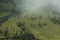 Colombian landscape: cloudy meadow with trees and bushes