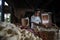 Colombian man in small bakery