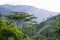 Colombian mountain landscape. Coffee-growing area. Antioquia