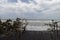 Colombian palomino beach seascape with blacksand, bushes