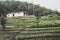 Colombian peasant house with cultivation.