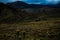 Colombian wasteland covered by hundreds of frailejones native plant of said ecosystem