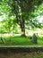 Colonial cemetery with granite stone plot border curb