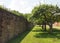 Colonial Grounds Tree Line Courtyard