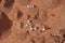 Colonization of Mars, Martian surface and human base, building a colony on Mars, top view. Conquering new horizons in space,