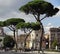 Colonna Traiana in Roma. Italy.