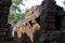 Colonnade, Ankor Wat