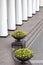 Colonnade and flower pots