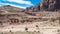 Colonnade Street and Great Temple in Petra town