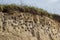 A colony of bird holes in a snadstone cliff at the beach near Baltic sea.
