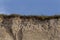 A colony of bird holes in a snadstone cliff at the beach near Baltic sea.